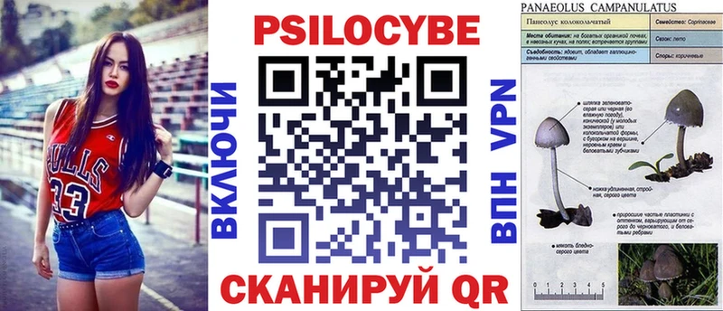 Псилоцибиновые грибы прущие грибы  где найти наркотики  Сим 